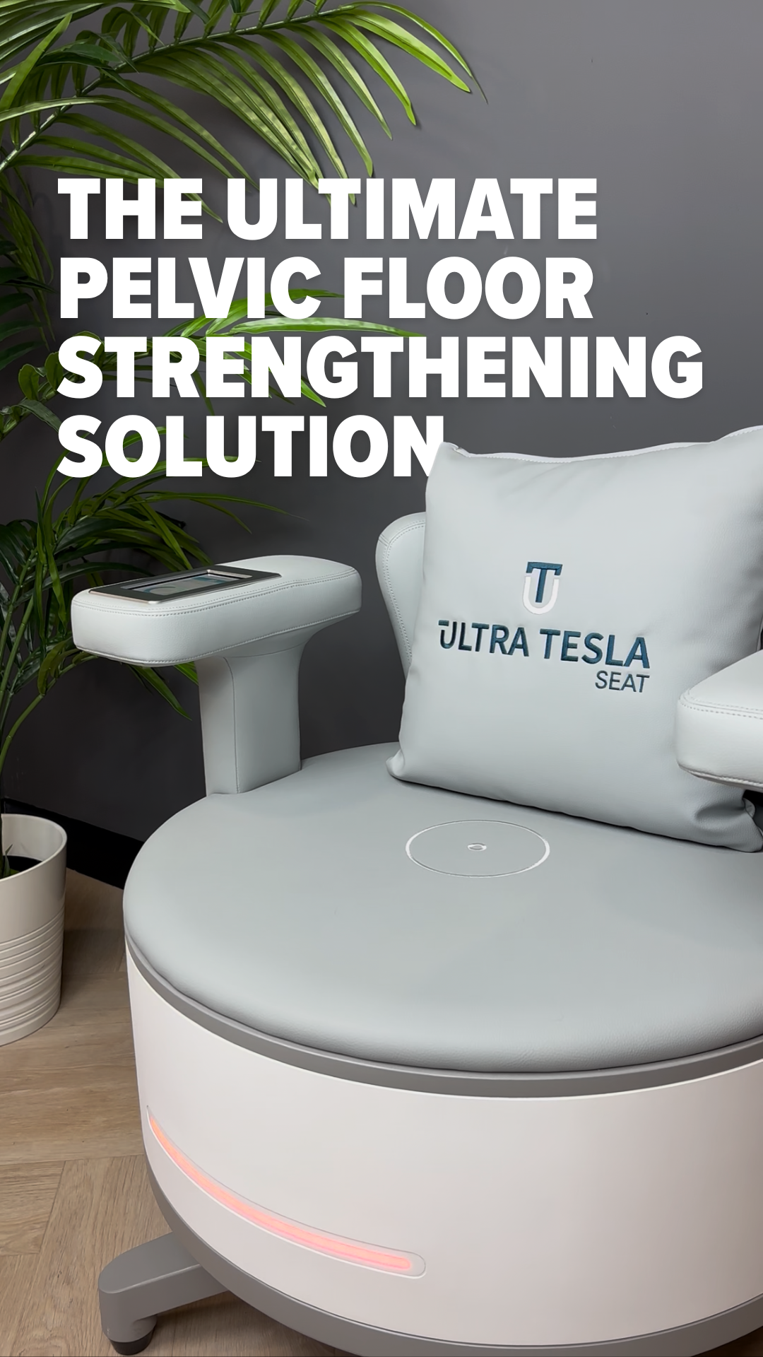 Ultra Tesla Seat with branded pillow